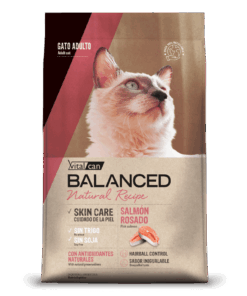 VITALCAN Balanced gato natural recipe Salmon x 15 kgs