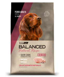 Vitalcan Balanced Nature Recipe cerdo x 15 kgs