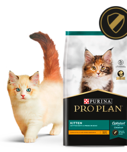 Pro Plan kitten x 7.5kg