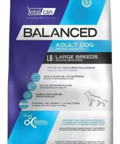 VITALCAN Balanced adulto mordida grande x 20kg
