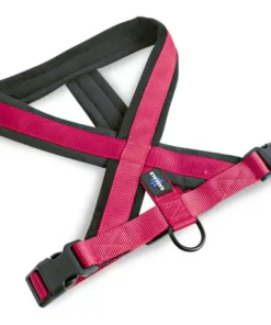 Pretal arnés premium, acolchado. Perro. Marca Rascals