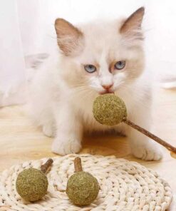 Alternative view of Catnip chupetines