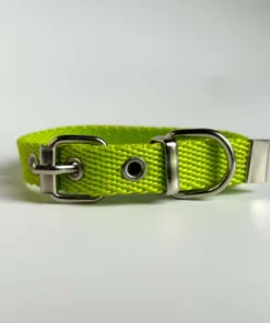 Alternative view of Collar Clásico Lisos