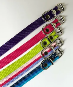 Collar Clásico Lisos